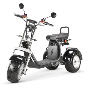 Coco Bike E-Scooter mit Straßenzulassung und drei Räder Trike CP7 - ca. 45km Reichweite, 2 Motoren | 60V | 2000W | 20AH Akku
