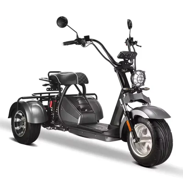 Coco Bike E-Scooter mit Straßenzulassung und drei Räder Trike ca. 40km Reichweite, 60V | 2000W | 20AH Akku -HM-3