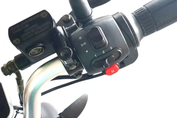 Coco Bike E-Scooter mit Straßenzulassung und drei Räder Trike ca. 35km Reichweite, 60V | 2000W | 20AH Akku – Bild 11