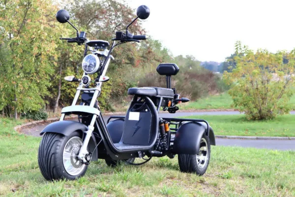 Coco Bike E-Scooter mit Straßenzulassung und drei Räder Trike ca. 35km Reichweite, 60V | 2000W | 20AH Akku – Bild 13