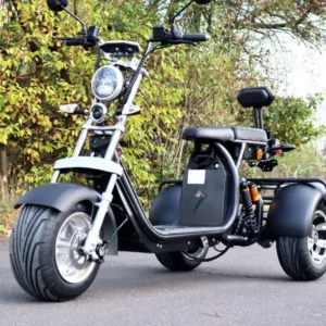 Coco Bike E-Scooter mit Straßenzulassung und drei Räder Trike ca. 35km Reichweite, 60V | 2000W | 20AH Akku