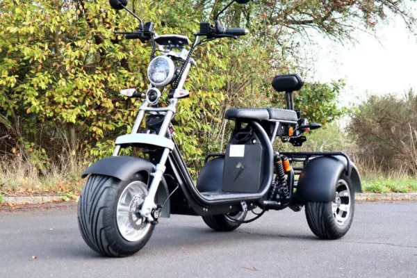Coco Bike E-Scooter mit Straßenzulassung und drei Räder Trike ca. 35km Reichweite, 60V | 2000W | 20AH Akku – Bild 2