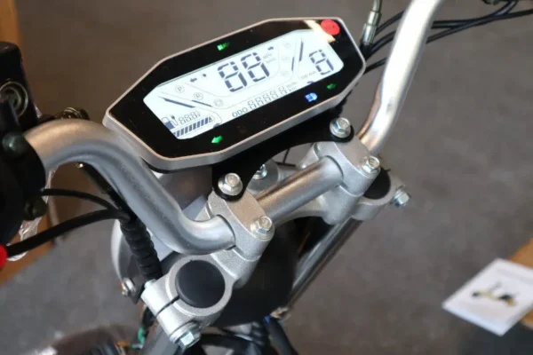 Coco Bike E-Scooter mit Straßenzulassung und drei Räder Trike ca. 35km Reichweite, 60V | 2000W | 20AH Akku – Bild 6
