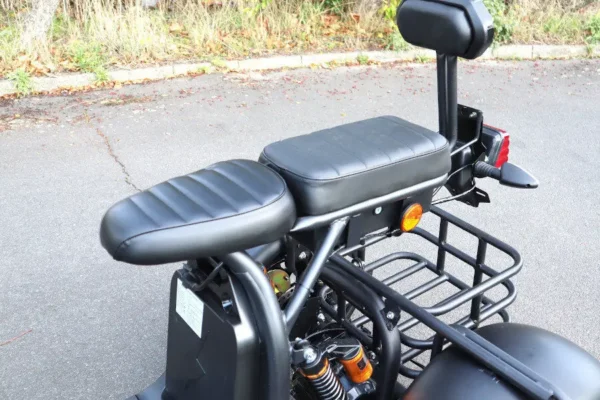 Coco Bike E-Scooter mit Straßenzulassung und drei Räder Trike ca. 35km Reichweite, 60V | 2000W | 20AH Akku – Bild 8