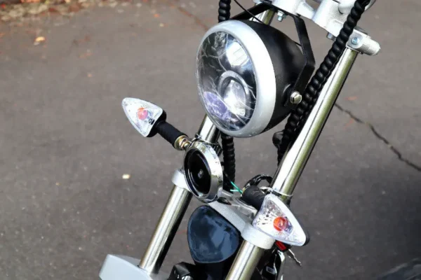 Coco Bike E-Scooter mit Straßenzulassung und drei Räder Trike ca. 35km Reichweite, 60V | 2000W | 20AH Akku – Bild 9